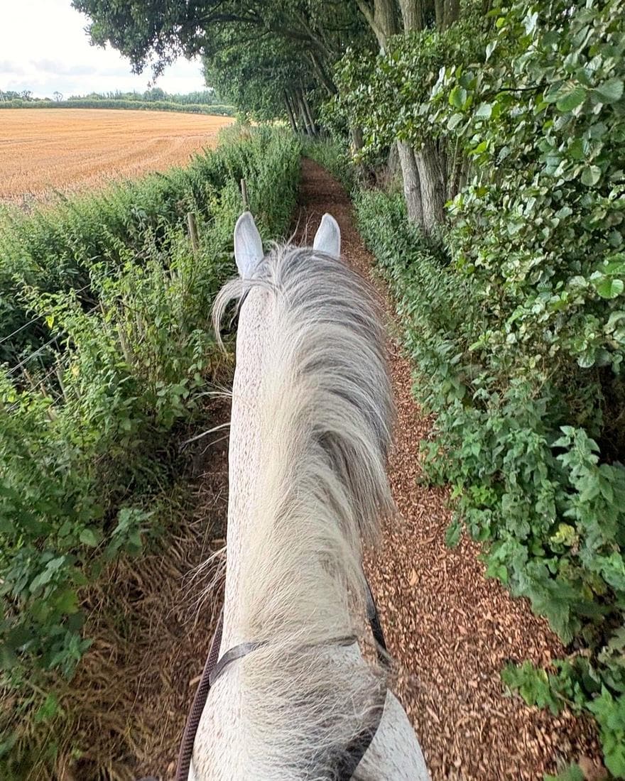 The private off-road hacking route through the nature reserve.