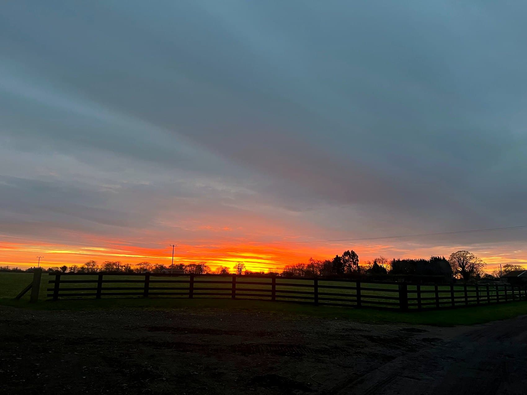 Horses grazing in the Tanglewood paddocks as the sun sets over Northumberland.