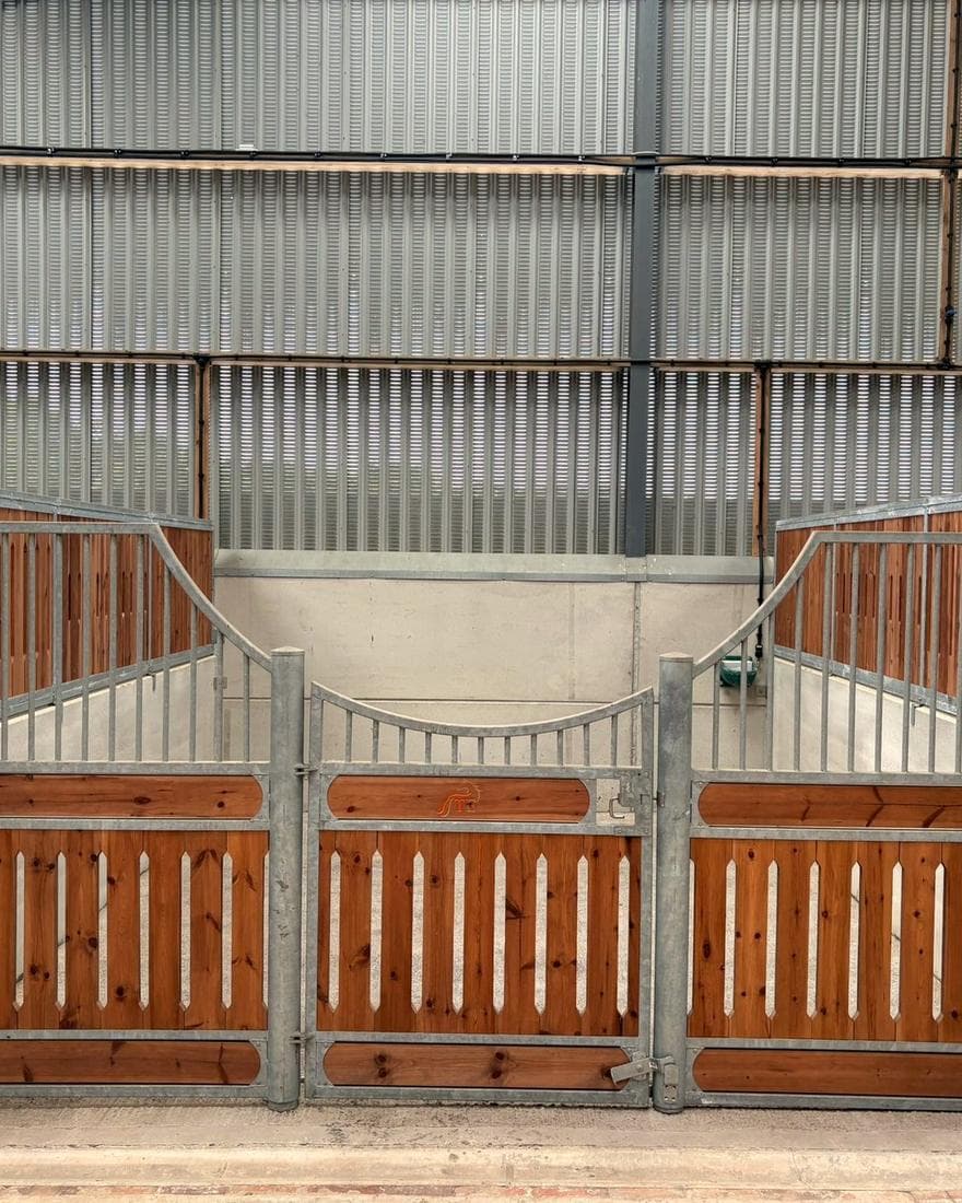 Spacious indoor stabling at Tanglewood Equestrian.